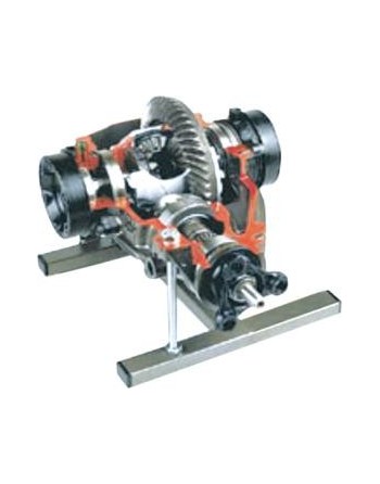 Modèle didactique de différentiel automobile sectionné | FXB-B04006