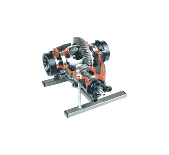 Modèle didactique de différentiel automobile sectionné | FXB-B04006