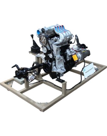FXB-D01002 – Modèle Didactique en Coupe de Transmission Automobile