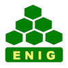 Logo ENIG